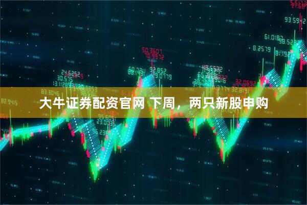 大牛证券配资官网 下周，两只新股申购